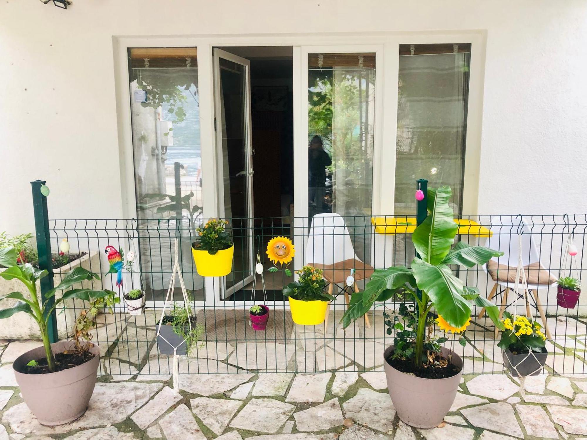 Apartments Djurovic Κότορ Δωμάτιο φωτογραφία